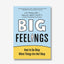 Buku Import Big Feelings - Bookmarked